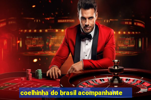 coelhinha do brasil acompanhante